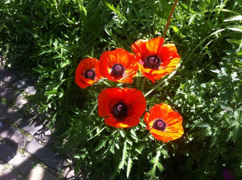 Bed & Breakfast La-perchade