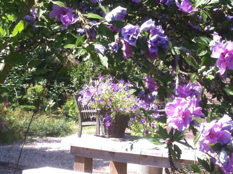 Bed & Breakfast La-perchade Huissen